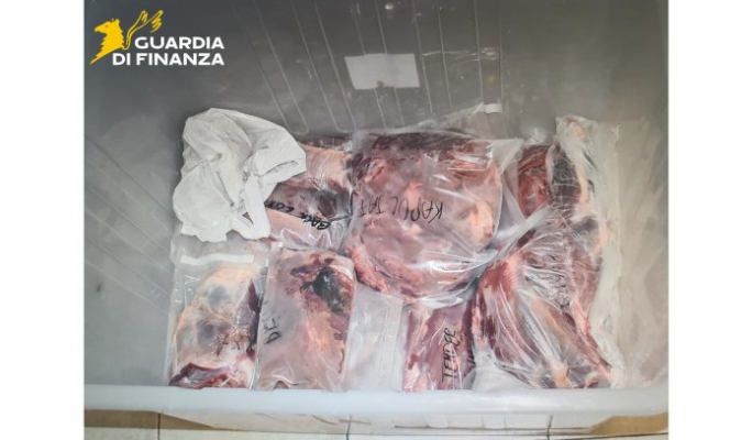 Six Maltese men investigated over illegal wild boar hunting fined €3,000 each by Sicilian court