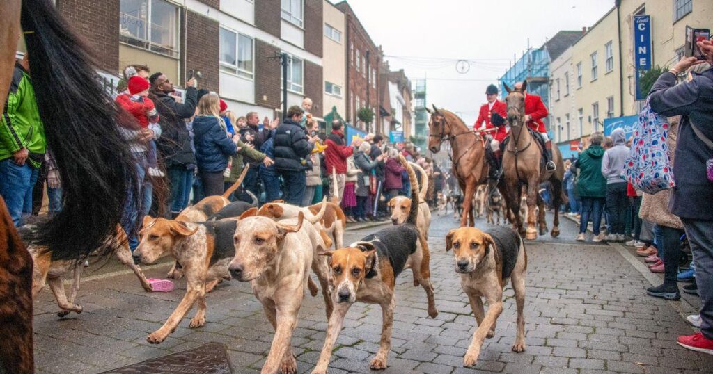 Town finally declares Boxing Day hunt 'not welcome'