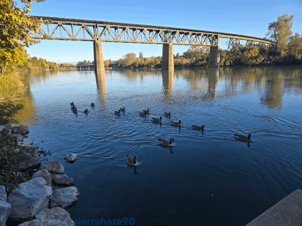 Sacramento river, CA