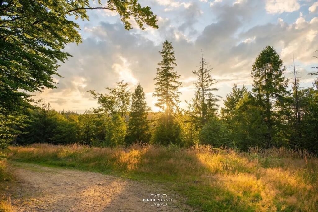 Beskid Mountains Trail
