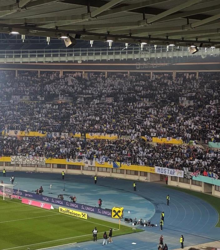 Picture of the day - lilies in Vienna!