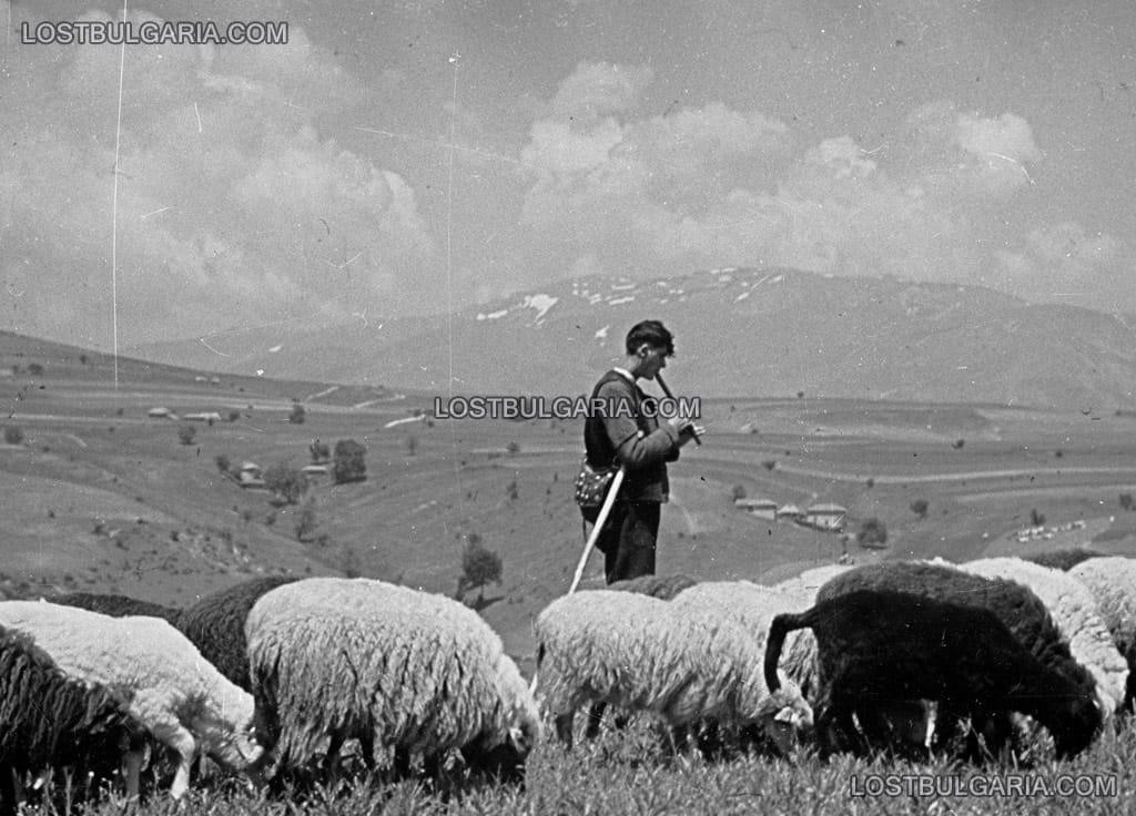 In the past, lamb and sheep milk and meat were regularly present on our table. Out of 10 million sheep in Bulgaria, there are probably 30-40 left these days.