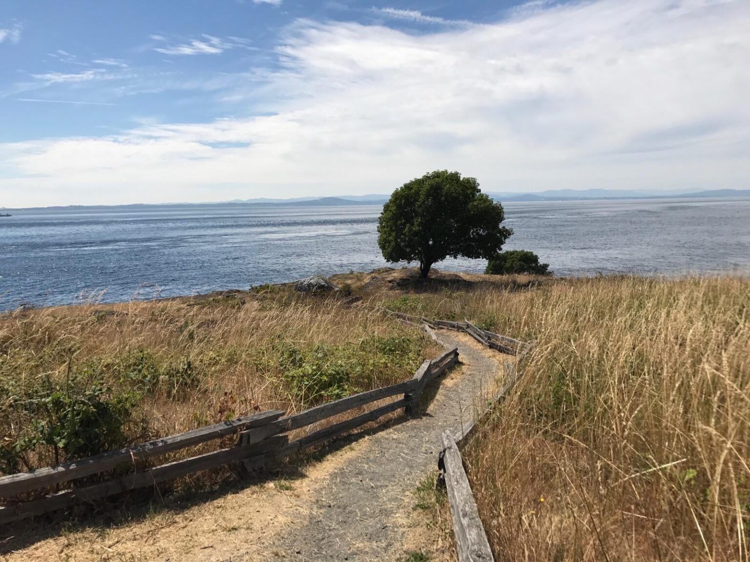 Meet Me by the Sea [OC]