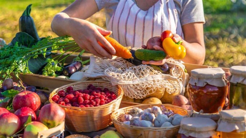 ‘All options on the table’: EU warns Poland, Hungary, Slovakia over Ukrainian import bans