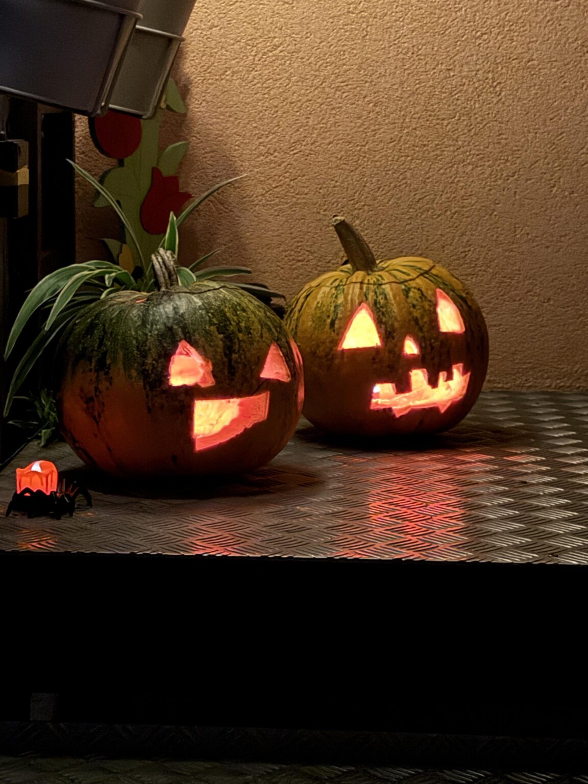 Here are our pumpkins. Designed by 6 year olds 🎃