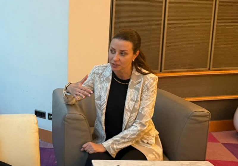 Joveva for MIA: The EU should clearly and loudly say that North Macedonia has made progress, it is not fair to put it in the same basket as Serbia and BiH