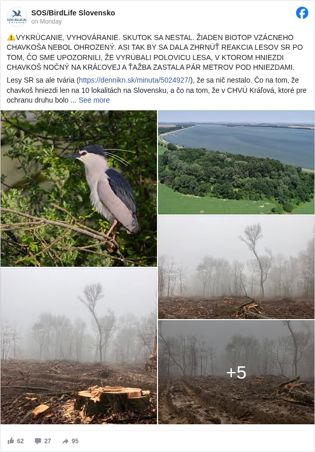 SOS/BirdLife Slovensko: ⚠️VYKRÚCANIE, VYHOVÁRANIE. SKUTOK SA NESTAL. ŽIADEN BIOTOP VZÁCNEHO CHAVKOŠA NEBOL OHROZENÝ. ASI TAK BY SA DALA ZHRNÚŤ REAKCIA LESOV SR PO TOM, ČO SME UPOZORNILI, ŽE VYRÚBALI POLOVICU LESA, V KTOROM HNIEZDI CHAVKOŠ NOČNÝ NA KRÁĽOVEJ A ŤAŽBA ZASTALA PÁR METROV POD HNIEZDAMI.
Lesy SR sa ale tvária (https://dennikn.sk/minuta/5024927/ <https://l.facebook.com/l.php?u=https%3A%2F%2Fdennikn.sk%2Fminuta%2F5024927%2F&h=AT2LM0lszKzit-HIic1MHU1jby2RhOPXFvpRvGdXOjuFkLbxRTJjf4D8SvgReCmlAiTrokGCnAS5Nrq2xqFKaA2wpf2bTjxwqDrSFcHpiXWp1Sj2Ld9I5fMHNMz9xmZTOGbmOvkb85T42pA>), že sa nič nestalo. Čo na tom, že chavkoš hniezdi len na 10 lokalitách na Slovensku, a čo na tom, že v CHVÚ Kráľová, ktoré pre ochranu druhu bolo vyhlásené, len na dvoch lokalitách? Čo na tom, že Program starostlivosti o CHVÚ Kráľová (na jeho prerokovaní Lesy SR boli, na to, že o biotope nevedeli sa vyhovárať nemôžu) vyslovene vylučuje ťažbu v okruhu 100 metrov okolo chavkošej kolónie? Čo na tom, že druh je citlivý na vyrušovanie?
Nevadí. Taká je zdá sa skutočná odpoveď Lesov SR na vyššie uvedené otázky súdiac podľa ich reakcie. Preto spolu s Aevis Foundation <https://www.facebook.com/aevisfoundation?fref=mentions&ref=embed_post> a My sme les <https://www.facebook.com/mysmeles.sk?fref=mentions&ref=embed_post> vyjadrujeme striktný nesúhlas voči postupu a postoju Lesov SR a upozorňujeme, že ťažba sa konala v rozpore so schváleným Programom starostlivosti o CHVÚ Kráľová. Viac v našej spoločnej tlačovej správe tu: https://vtaky.sk/press/show/319 <https://l.facebook.com/l.php?u=https%3A%2F%2Fvtaky.sk%2Fpress%2Fshow%2F319&h=AT0MnQZNIXSnStagRytM-vhv9iFYYOYkH9Do2Ec9O4hzSkPm7QNMhFYMvLT9UL4UMhkgN9nq3ctERrxtVuhdUuswfhAsuyJFaPG3bAMXHxR3EQ5gCec7_Fyvh5wSO_64rYP56gk-YRhfT18>
Zároveň veľmi dôrazne upozorňujeme na naše pobúrenie so zvoleným postupom Lesov SR, ktoré sa tvária, že sa nič nestalo. No stalo sa veľmi veľa. Lesy SR totiž práve na tomto prípade ukázali ako seriózne to myslia s ochranou prírody a my budeme veľmi pozorne sledovať ako sa prípad na Kráľovej uzavrie a či náhodou Lesom SR nenapadne doťažiť zvyšok porastu podľa aktuálneho programu starostlivosti o les (PSL) prijatého podľa nášho názoru v rozpore so zákonom 543/2002 Z.z. a Smernicou o biotopoch 92/43/EHS.
➡️ Po prvé. Na celom Slovensku chavkoše hniezdia len na pár lokalitách, všetky sú na odľahlých, ťažko prístupných miestach, väčšinou na ostrovoch, odľahlých mokradiach, ktoré ani nie sú lesnými pozemkami. Ohrozenie biotopov chavkošov na týchto lokalitách teda nehrozí.
Len jedna lokalita je v tomto ohľade iná - Kráľová, keďže ide o lesný pozemok v správe Lesov SR. Len na týchto smiešnych 3 hektároch (rozloha, ktorá je kvapkou v mori oproti pozemkom, ktoré majú Lesy SR v užívaní) mali Lesy SR možnosť ukázať ako vedia pomôcť ochrane prírody.
Lesníci v mnohých iných krajinách by sa chválili tým ako vedia takejto malej zraniteľnej lokalite a vzácnemu druhu pomôcť. Ale my na Slovensku nie. PSL znel jasne. Vyťažiť. No tak Lesy SR vyťažili.
➡️ Po druhé. A toto je veľmi dôležitý kontext. Slovensko sľúbilo Európskej komisii mnohé opatrenia na vyriešenie sporu vo veci hlucháňa práve cez schválenie programov starostlivosti. Mnohí naši spolupracovníci vyjadrujú obavy či to bude fungovať, a či sľuby v programoch starostlivosti o CHVU neostanú len na papieri. A po dnešku môžeme povedať, že tieto obavy sú oprávnené.
‼️Program starostlivosti o CHVÚ Kráľová totiž hovorí jasnou rečou. Lokality v okruhu 100 metrov okolo hniezdísk sa nesmú vyťažiť.‼️ No vyťažili sa. Ak Slovensko nevie zabezpečiť ochranu biotopu tak vzácneho druhu akým je chavkoš nočný na tak málo lokalitách, v podstate na jednej jedinej, veľkej 3 ha, kde je rozpor medzi lesným hospodárením a ochranou vzácneho druhu, ako chce Európsku komisiu a vlastne všetkých, ktorým záleží na ochrane prírody presvedčiť, že to dokáže u hlucháňa, kde je rozsah záujmov, ktoré treba zladiť diametrálne odlišný, rádovo väčší? Na mieste Lesov SR by sme okamžite prehodnotili rétoriku a brali by sme tento prípad vážne.
My tento prípad budeme dôsledne sledovať. Pôjdu podnety, aby nepadol ani jeden strom navyše a vykonáme ďalšie kroky, aby sa nič podobné už nezopakovalo. Je neakceptovateľné, že Lesy SR ani na smiešnych troch hektároch nedokážu vyjsť v ústrety ochrane vzácnych druhov.
A na koniec ešte jedna poznámka k reakcii Lesov SR. Lesy SR tvrdia, že tam žiadna kolónia nebola, a že ťažba prebehla mimo hniezdneho obdobia.
Ak správne chápeme túto reakciu, snažia sa nám naznačiť, že vtáky odleteli na zimoviská, a pri ťažbe ich nerušili na hniezdach. Tomu, že by popierali fyzickú prítomnosť hniezd tomu neveríme, stále na lokalite hniezda sú, každý sa môže presvedčiť. Ak to ale je naozaj tak, že naznačujú, že hniezda boli pri ťažbe prázdne, potom takáto reakcia je asi najviac absurdnou časťou reakcie Lesov SR.
⁉️ To nám chcete povedať, že v čase, keď bociany, lastovičky a iné sťahovavé druhy odletia na juh do Afriky, nie je problém zničiť ich hniezda a hniezdiská a biotopy v okolí hniezd? Toto je prístup k ochrane prírody prežitý dávno, ale fakt, že dávno, v minulom storočí. A práve z toho, že zdá sa, že Lesy SR tento prístup akosi nemenia, vyplýva podľa nás mnoho problémov, ktorými v ochrane prírody stále čelíme.
Prípad chavkoša nočného je z tohto pohľadu len jedným z extrémov.