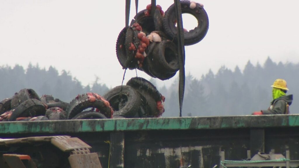 EXCLUSIVE: Drone footage captures removal of thousands of tires from Puget Sound EXCLUSIVE: Drone footage captures removal of thousands of tires from Puget Sound