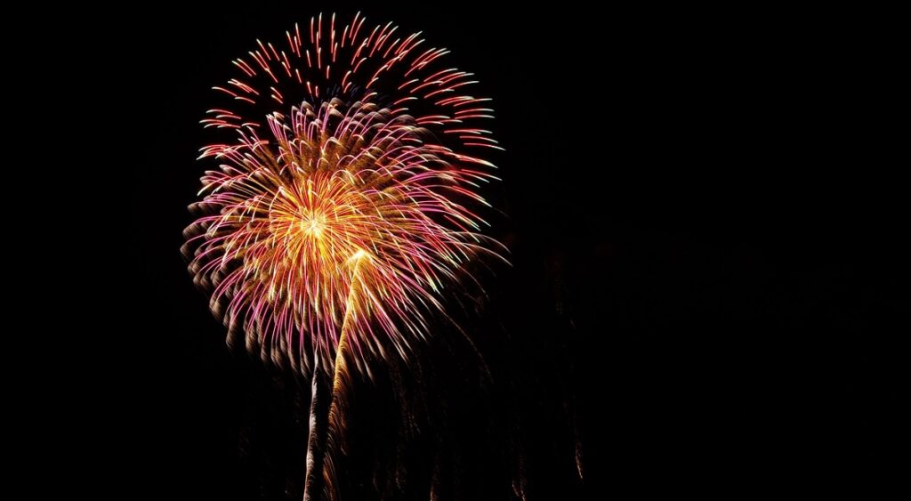 Fireworks bans were expected to be discussed in December by the parliamentary Committee on Animal Protection, but progress was delayed due to a presidential veto on broader animal welfare legislation. As a result, no national restrictions will be in place for this New Years Eve.