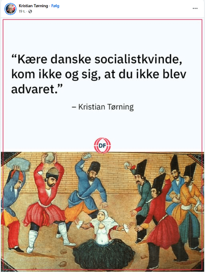 Kristian Tørning (Danish People's Party): "Dear Danish socialist woman, don't come and say you weren't warned."