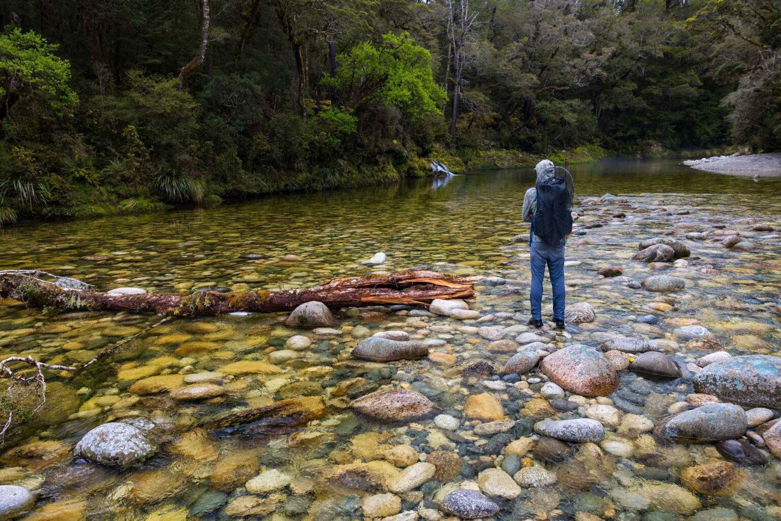 Sight-casting or blind-casting: A New Zealand take | Hatch Magazine