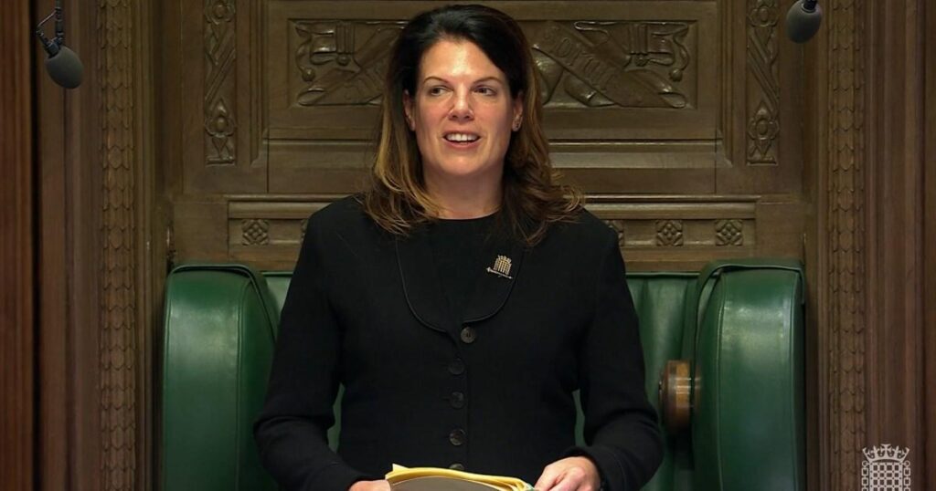 MPs ‘accidentally’ vote in favour of joining a customs union with the EU