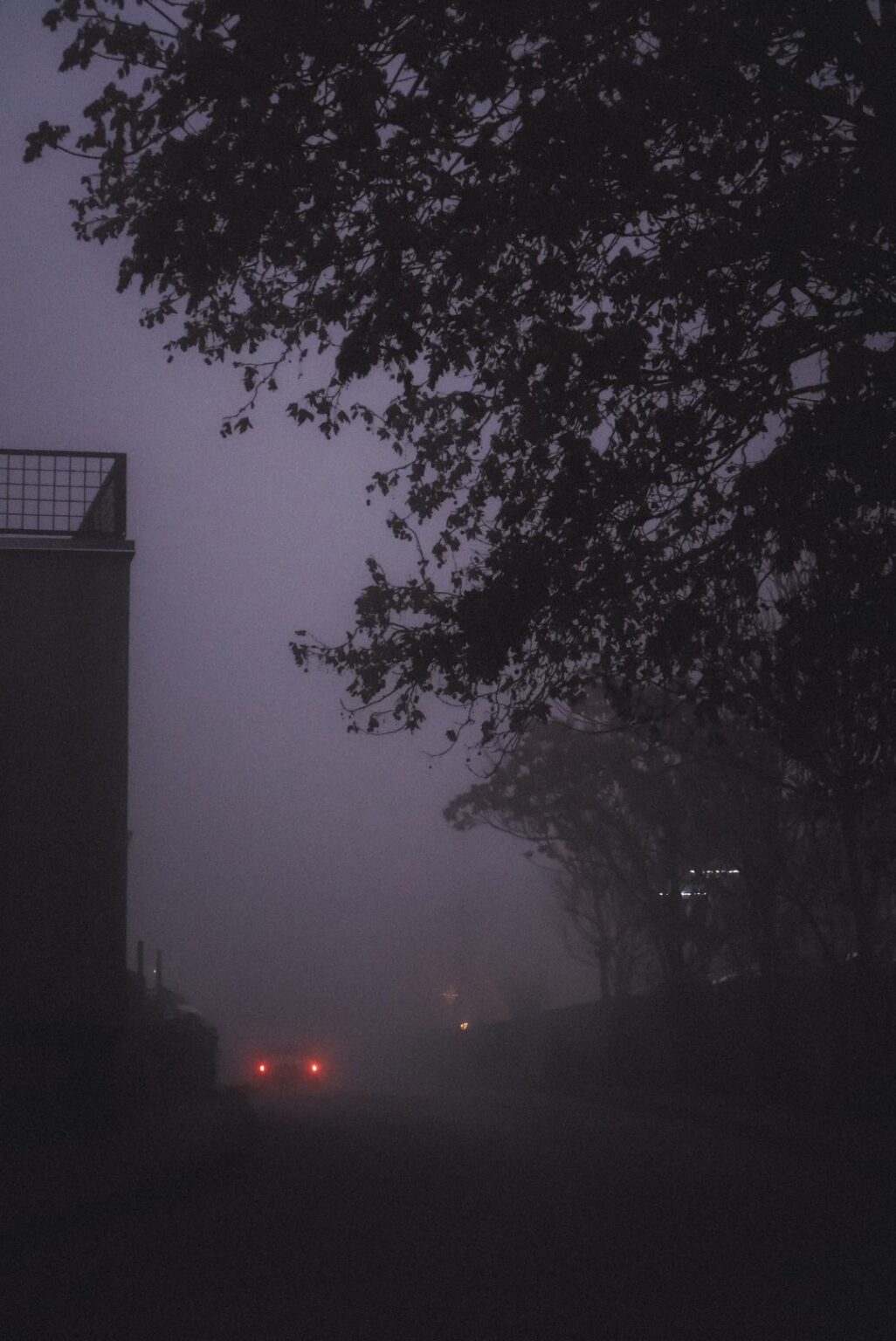 A little dark and foggy Pleven