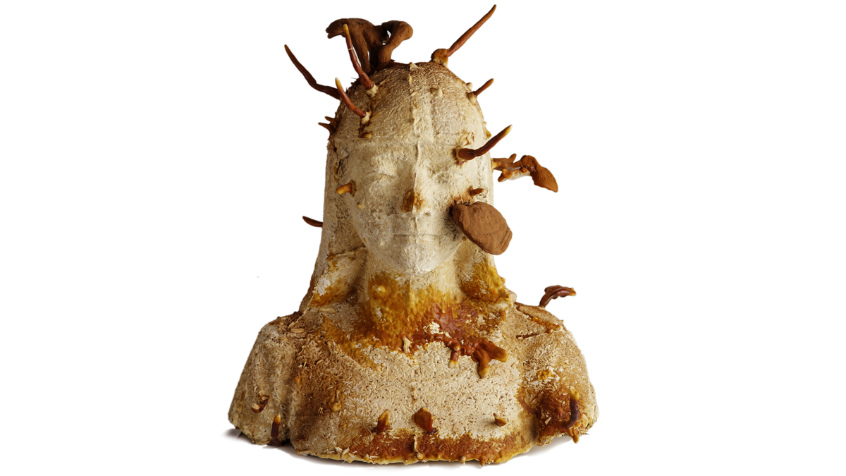 Nevada Museum of Art Presents the 2026 Art + Environment Summit: Under Pressure