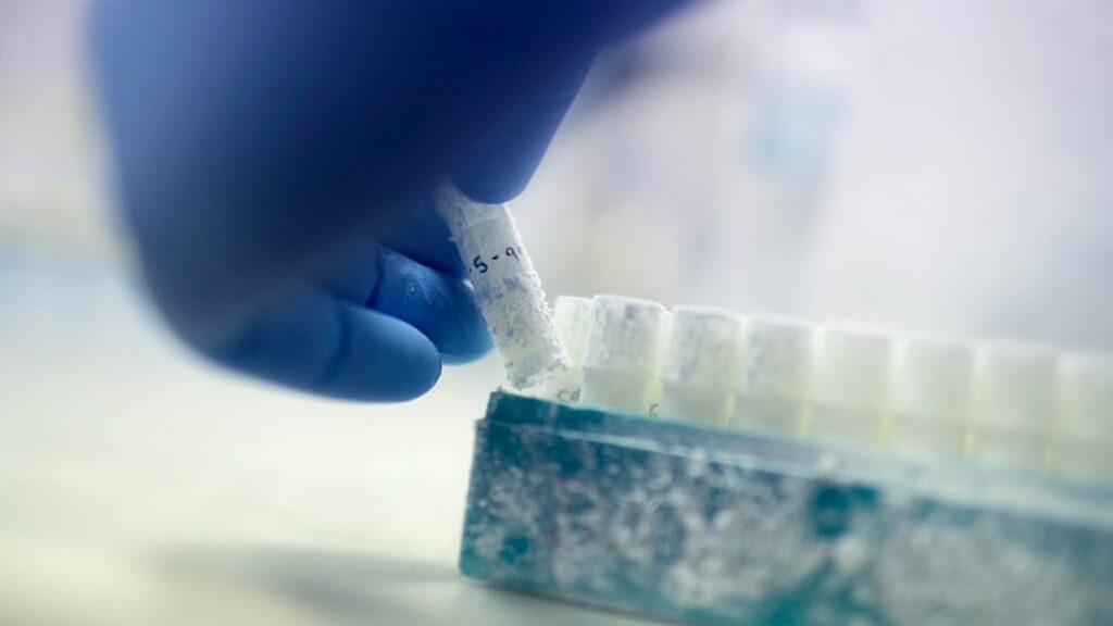 Are sperm banks in Denmark rejecting donors based on their IQ?