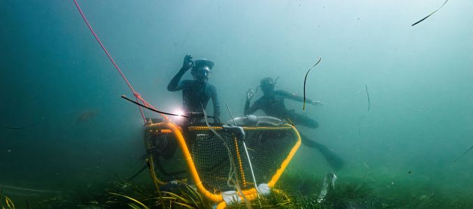 Precision Engineering Helps Power World's First Underwater Seagrass Harvester -- Environmental Protection