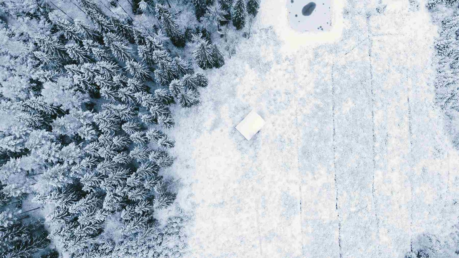 Alaska is awash in oil but lies on an even more valuable resource — Switzerland has just started to produce it in a frenzy Alaska valuable oil