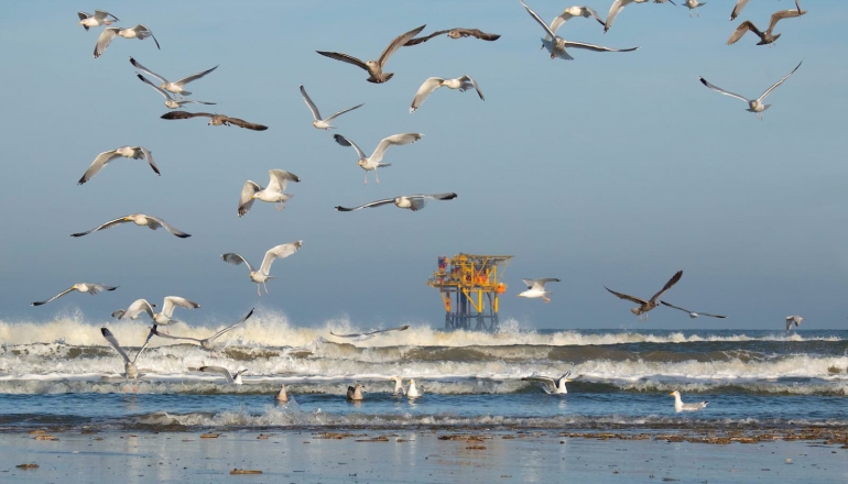 Concrete ocean pledges lacking in countries’ climate plans, say experts | NEWS