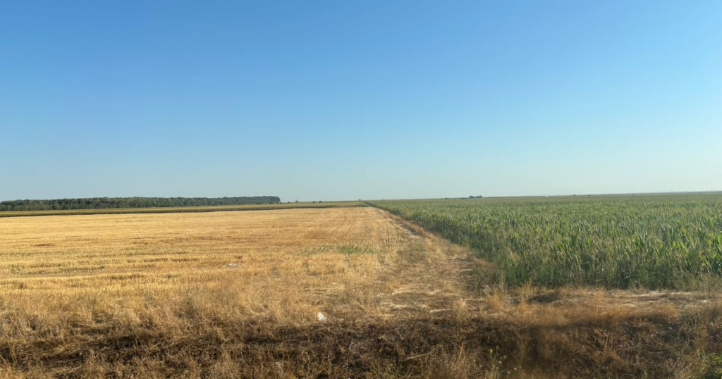 Romanian agriculture: between structural deficiencies and opportunities