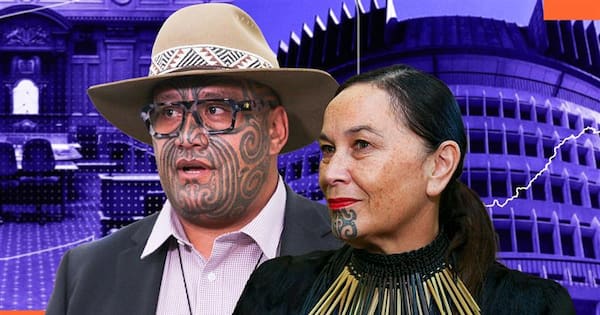 Te Pāti Māori support crashes after weeks of in-fighting