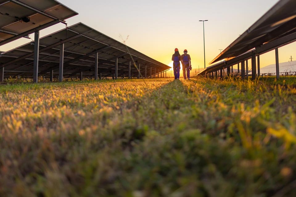 Employees Walking at Solar Power Farm