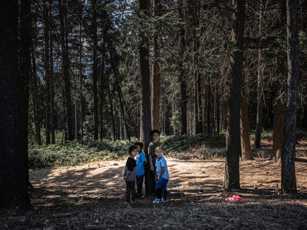 Bosnia, 30 Years After