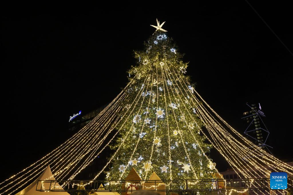 Lighting ceremony held to celebrate New Year in Georgia-Xinhua