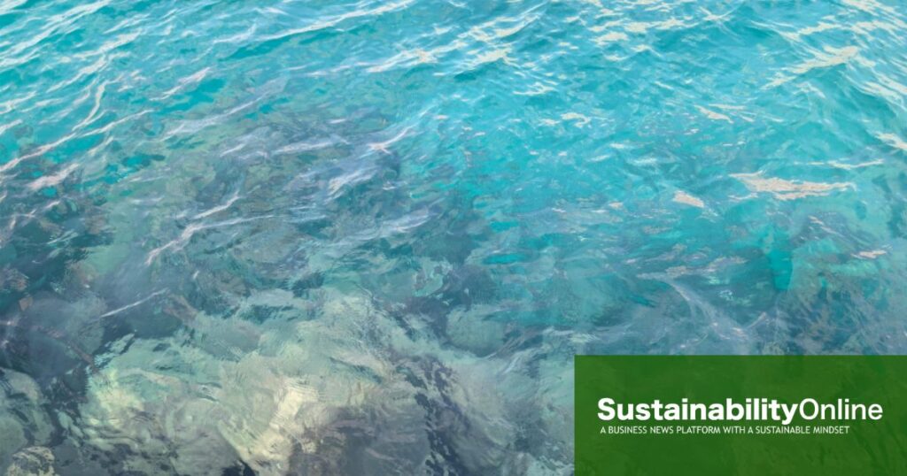 Decommissioning submarine cables has a short-lived environmental impact, study finds