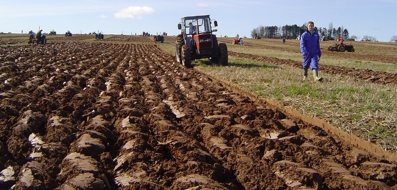 Experts warn: The Potential of BiH Agriculture is not being used enough