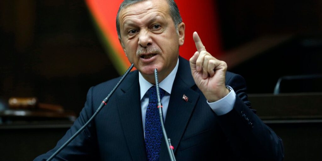 Two drones down over Turkey, Erdogan warns Russia and Ukraine