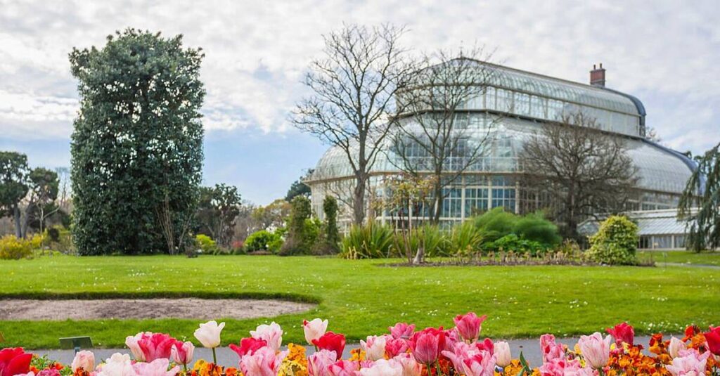 One man is banking every native seed in Ireland