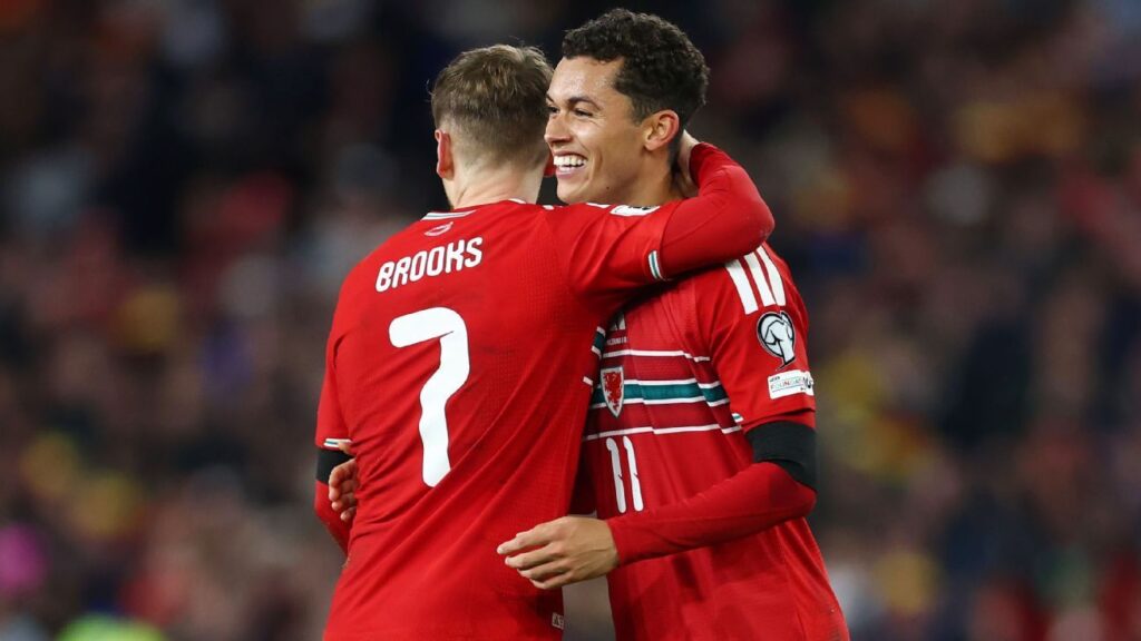 World Cup playoff draw: Wales get Bosnia, likely face Italy in final