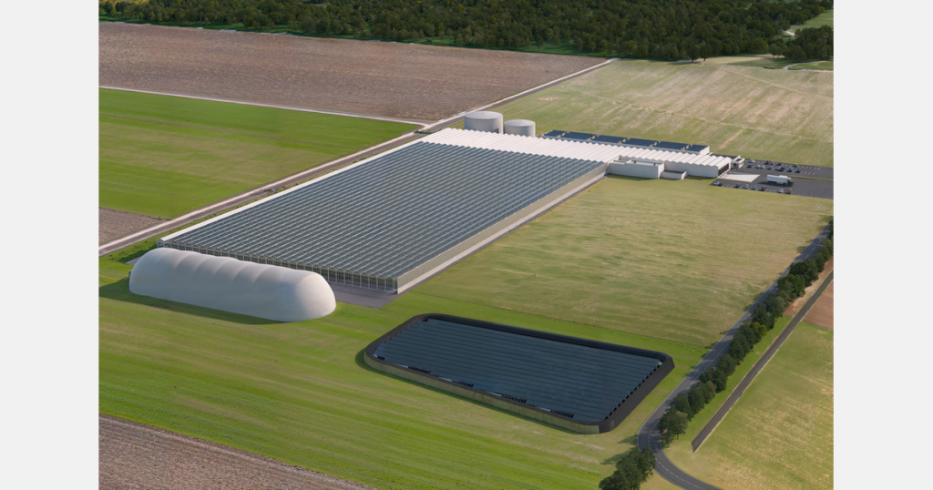 New baby leaf production in Slovenia, the centre of Europe