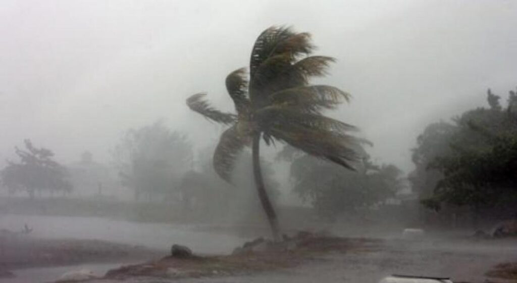 Rainy weather expected Saturday as Cyprus low impacts Kingdom | Jordan News Rainy weather expected Saturday as Cyprus low impacts Kingdom | Jordan News