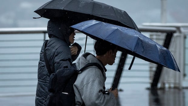 Up to 60 mm of rain possible in Hamilton and area on Sunday, says Environment Canada