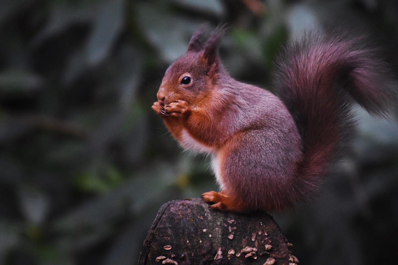 Scotlands best scenery 🏴󠁧󠁢󠁳󠁣󠁴󠁿