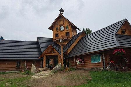 Cuckoo! Cuckoo! An enchanting rarity emerges in the middle of nowhere