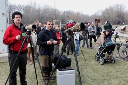 Birdwatching in Bratislava