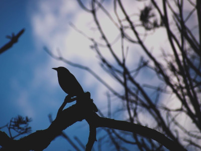 2025 in Review: Ontario’s environmental framework butchered by the Ford government