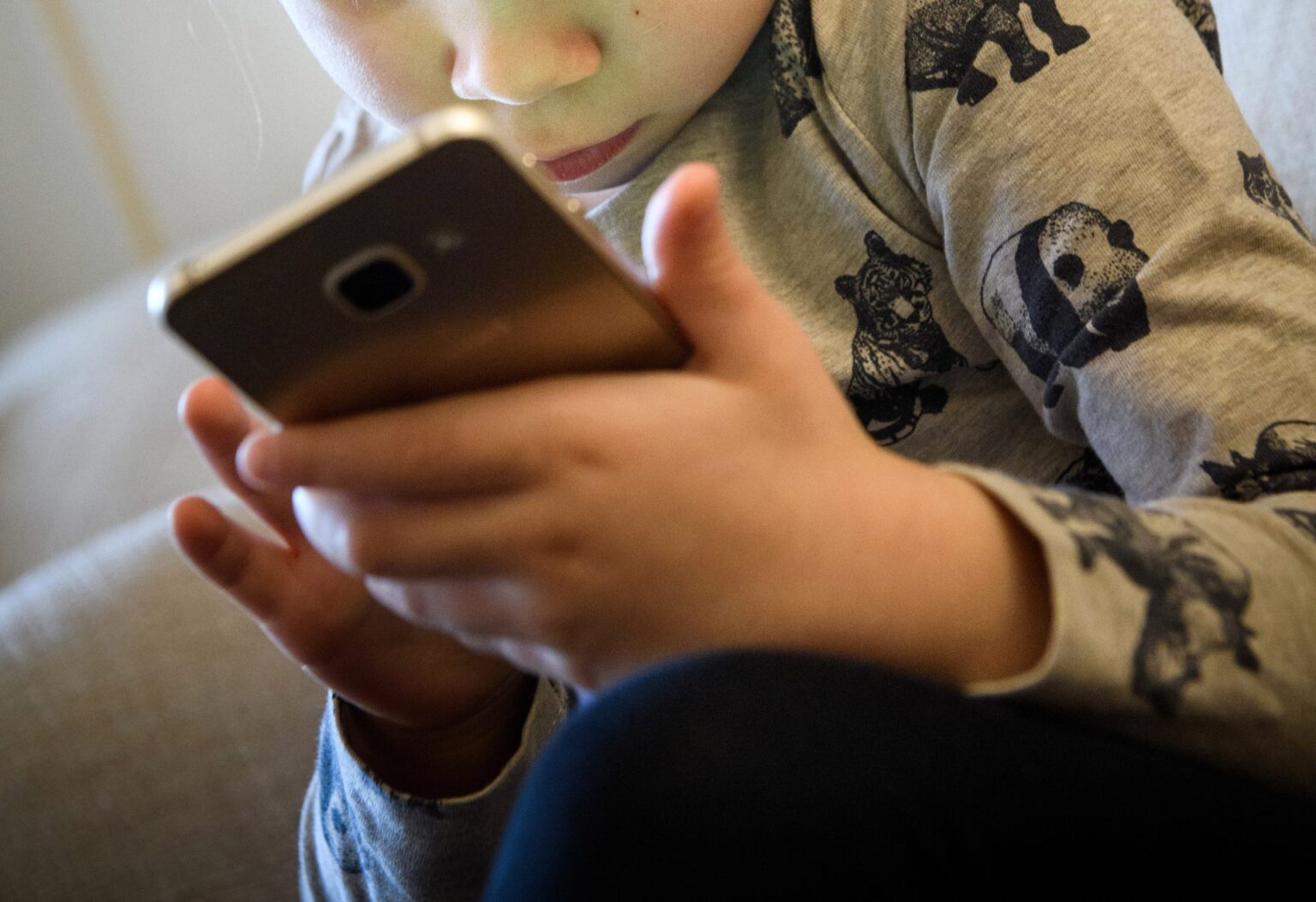 Slovenia supports the introduction of an age limit for online platforms at EU level