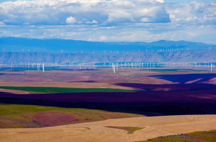 Federal Court Vacates National Wind Permit Freeze
