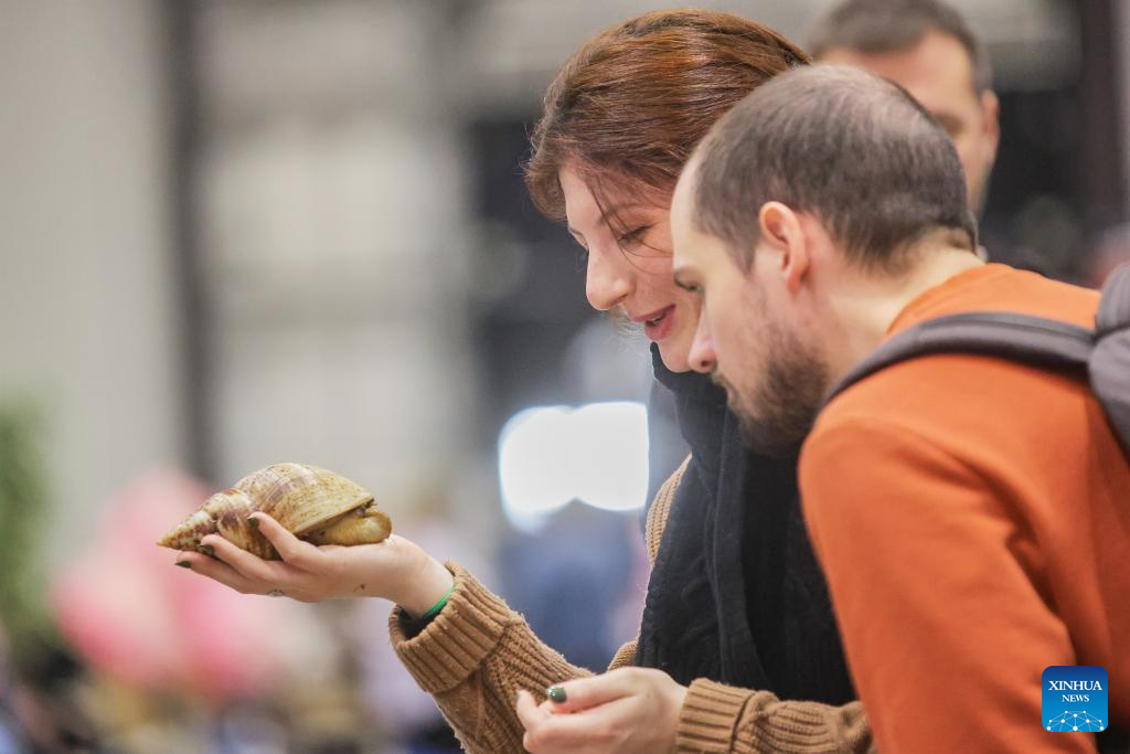 2025 Pet Show held in St. Petersburg, Russia-Xinhua