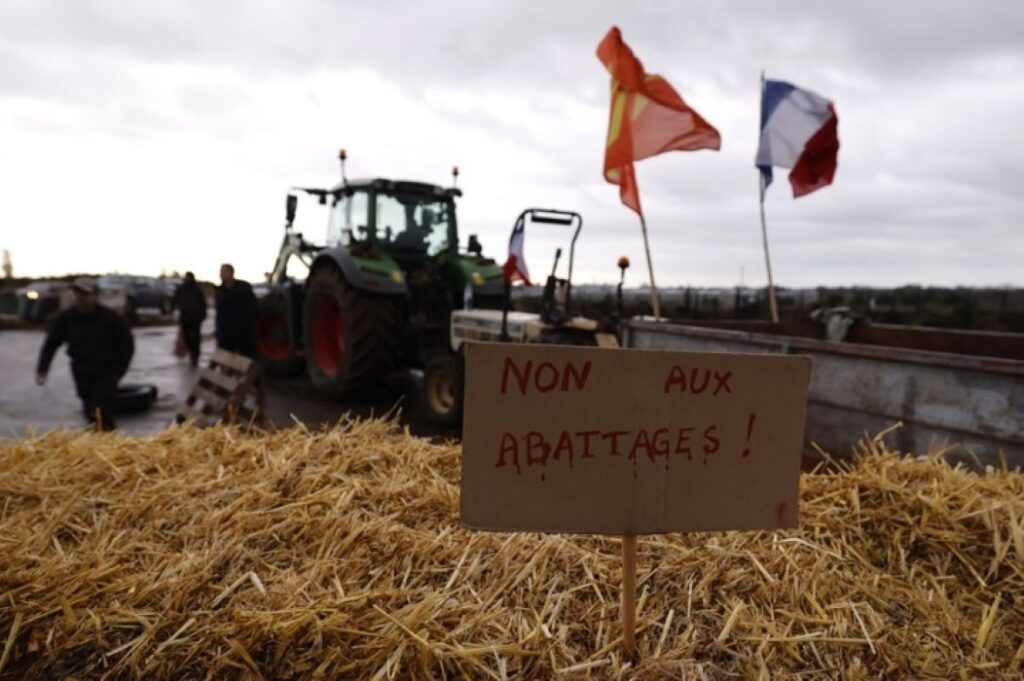 South American Mercosur Deal Tests Europe as France Courts Fury