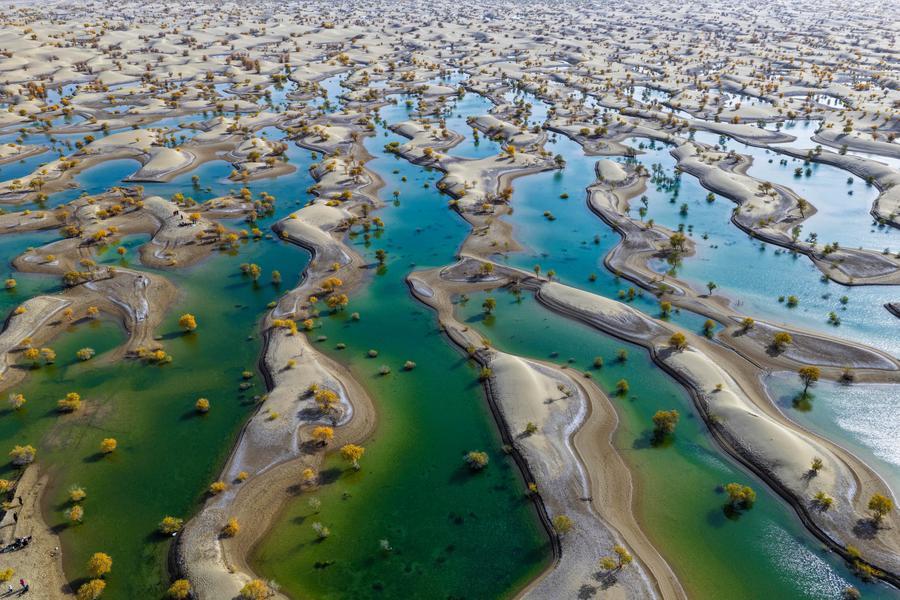 Warmer, wetter climate brings changes, concerns in NW China-Xinhua