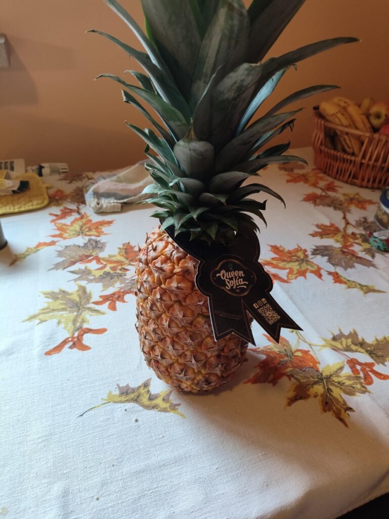 I tried the airplane pineapple