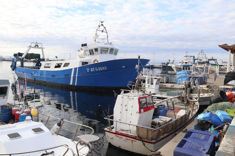 Fishing vessels docked at the Port of Roses
