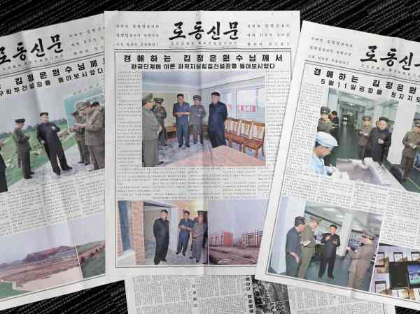 Ministry Seeks to Open Public Access to N. Korea's Rodong Sinmun