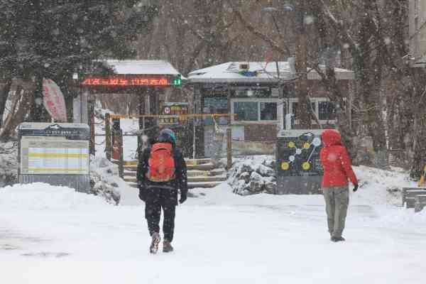 Year-End Cold Snap Intensifies as Subzero Morning Looms Nationwide