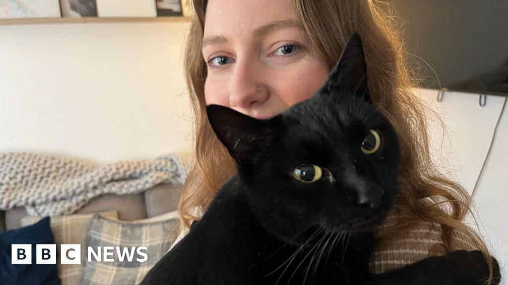 'Christmas miracle' cat comes home after five years missing.