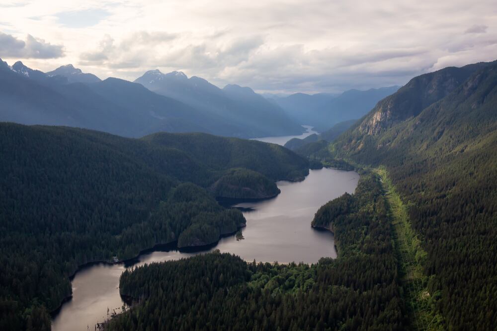 Over 400 Natural Resources Canada jobs at risk, union says CBC